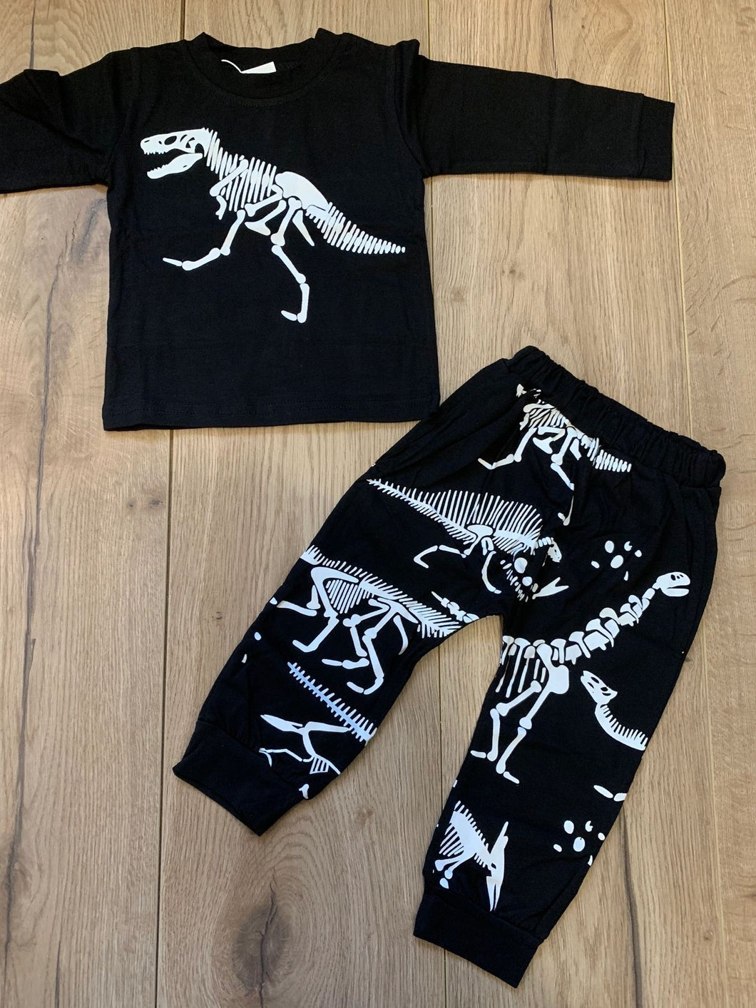 Dinosaur bone set - 9 months